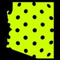 Arizona Hoodie - States of Pickleball