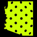 Arizona T-Shirt - States of Pickleball